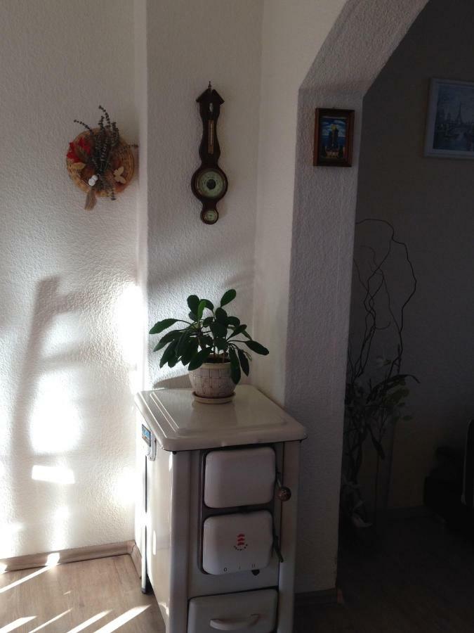 Ferienwohnung Mit Garten In Koeln Екстер'єр фото